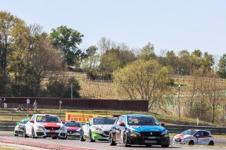 #49 Ropars Racing Team-Motors Legend FRA Peugeot 308 RC  K&eacute;vin ROPARS  FRA   TC, Race 1
 | SRO / Patrick Hecq Photography