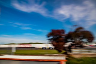 #41 VSF Sports - Amplitude automobile BMW M2 CS Racing Florian TEILLAIS Benoit EVEILLARD TC, Race 1, TC
 | SRO / TWENTY-ONE CREATION - Jules Benichou