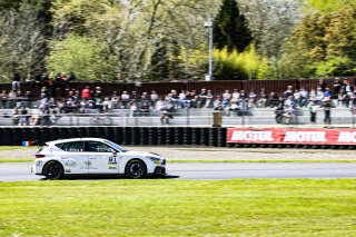 #81 Team Clairet Sport - Setphane Ventaja - Cupra TCR - TCR, Course 1
 | SRO / Patrick Hecq Photography