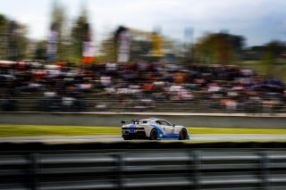 #29 Pole Position 81 - David Chiche - Ligier JS2R - GT Light, Course 4, TC France
 | © SRO - TWENTY-ONE CREATION | Jules Benichou