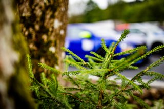  | TWENTY-ONE CREATION