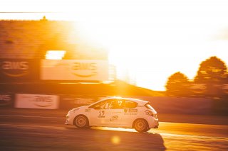 #17 - Boreau Team Sport by JSB - Colin Boreau - Peugeot 208 RC - TCA Light, TC France
 | TWENTY-ONE CREATION