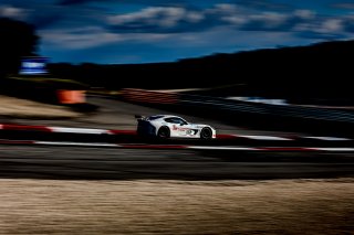 #333 - Styl&Grip - Xavier Canonica - Ginetta G56 GTA - GT Academy, Essais Libres 2, TC France
 | © SRO / Patrick Hecq Photography