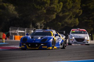 #29 - Team CDRS - David Chiche - Ligier JS2R - GT Light, CATEGORIES, SPOTTER GUIDE, TC FRANCE
 | TWENTY-ONE CREATION