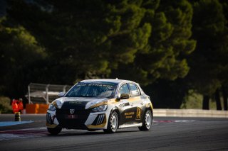 #712 - Beyond Virtual by 2RT - S&eacute;bastien Bortot - Peugeot 208 TC6 - TCA Light, FFSA Tourisme
 | SRO Motorsports Group